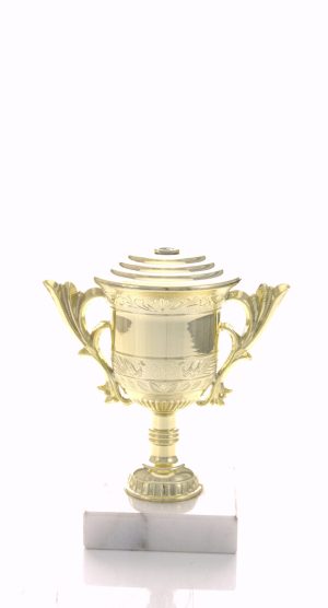 Gold Cup - A005D+M4