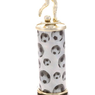 Soccer Column - BM13915