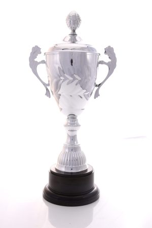 Silver Metal Cup - TE352CL