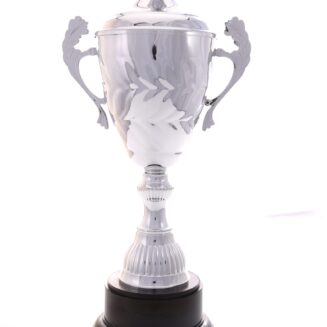 Silver Metal Cup - TE352CL