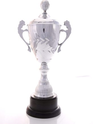 Silver Metal Cup - TE352CL