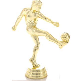 Soccer Ball on Foot - TE8276+M3