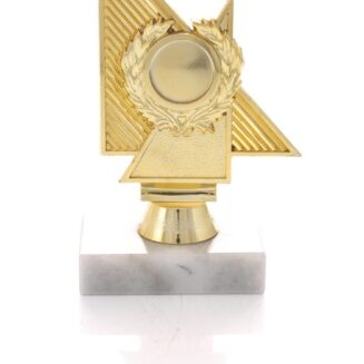 Gold Insert Holder - TES18L+M3