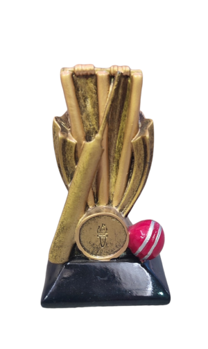 Resin Cricket Theme - HX1572A