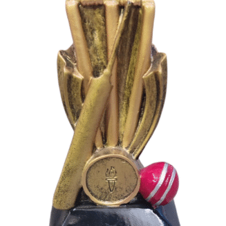 Resin Cricket Theme - HX1572A