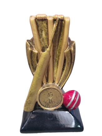 Resin Cricket Theme - HX1572A