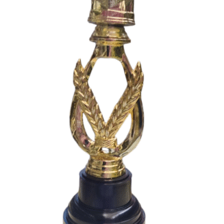 Gold Rugby Trophy - TEG79