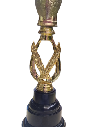 Gold Rugby Trophy - TEG79