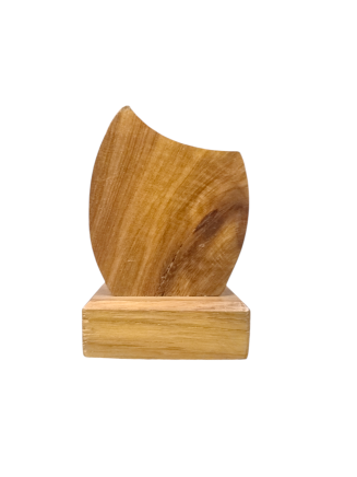 Wooden Shield Wave Mini - CWS001