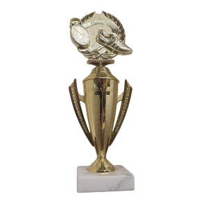 Champion Set Athletics Package - Image 2