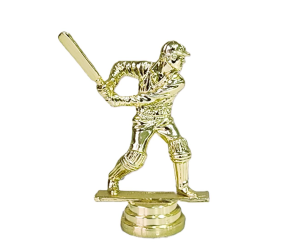 All-Rounder Cricket Package - Image 5