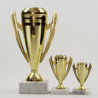 Shop Trophies and Awards